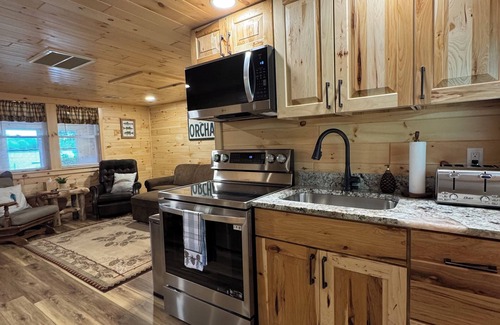 Alden Cabina | PINE COTTAGE - Pet Friendly Lakefront Cottage on Thayer Lake