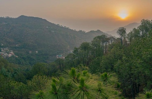 Barog Casa | Pine Dream Resort l Kasauli l By BlackPearl