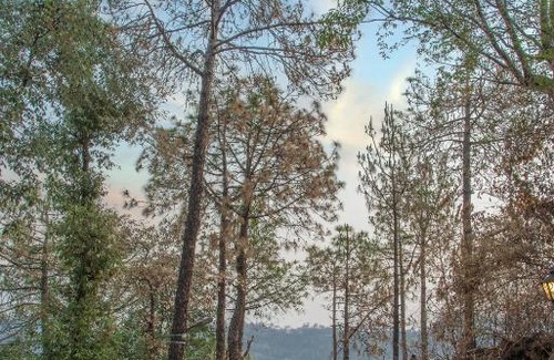 Barog Casa | Pine Dream Resort l Kasauli l By BlackPearl