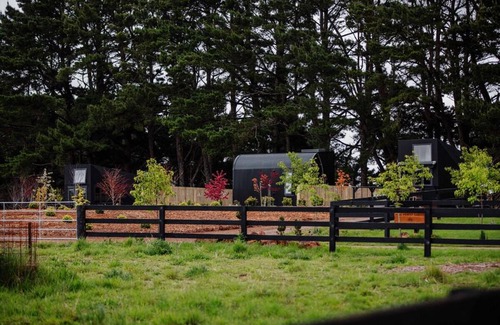 Glenquarry Casa | Pine Forest Luxury Tiny Cabins