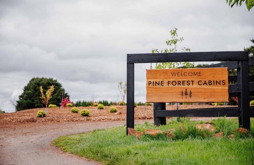 Glenquarry Casa | Pine Forest Luxury Tiny Cabins