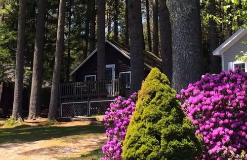 Lincolnville Cabaña | Pine Grove Cottages : Cottage 5 - Studio Cottage - Pet Friendly