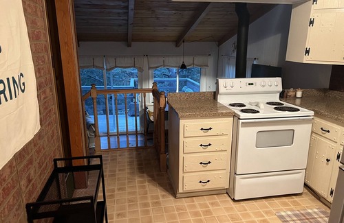 Julian Cabina | Pine Hills Hideaway- cozy forested retreat