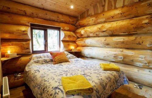 Lochgilphead Cabina | Pine Marten
