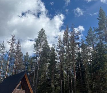 Zabljak Casa | Pine Retreat