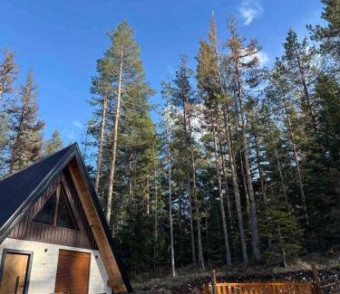 Zabljak Casa | Pine Retreat