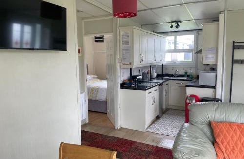 Haverfordwest Chalet De Esquí | Pine Tree