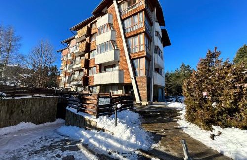 Shiligarnika Apartamento | Pine Tree one bedroom apartment