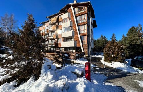 Shiligarnika Apartamento | Pine Tree one bedroom apartment