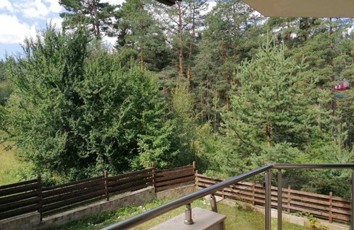 Shiligarnika Apartamento | Pine trees apartments
