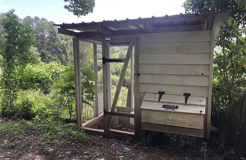 Currumbin Valley Cabina | Pine View Cabin