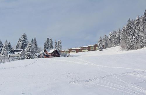 Vysne Ruzbachy Apartamento | Pine Wood Apartment