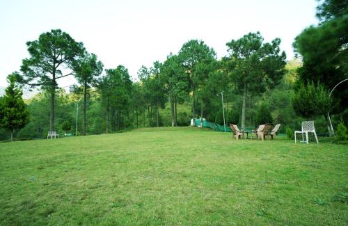 Dharampur Complejo | Pineland Resorts & Chalets Kasauli