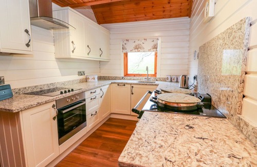 Bleddfa Cabaña | PINES PITCH, admite mascotas, con bañera de hidromasaje en Knighton, Ref 996560