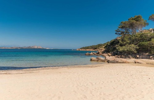 Baja Sardinia Apartamento | Apartamento Pineta Uno (BSA140) en Baia Sardinia - 2 personas, 1 dormitorios