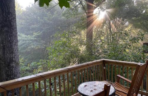 Banner Elk Casa | Pinetop Nest: Happy Place in Sugar Mountain