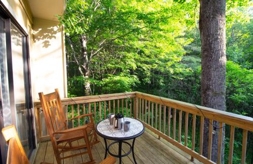 Banner Elk Casa | Pinetop Nest: Happy Place in Sugar Mountain