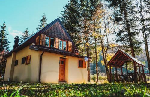 Kolasin Municipality Casa | Pineview House