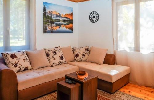 Kolasin Municipality Casa | Pineview House