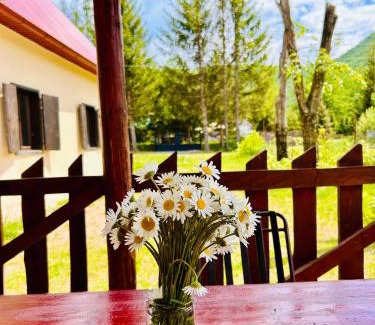 Kolasin Municipality Casa | Pineview House