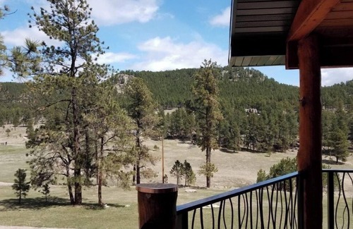 Custer Casa | *Pinewoods Cabin* Secluded wilderness and wildlife