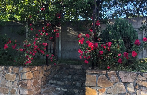 Giarmata Villa | Pink Garden Events Advance Notice Required