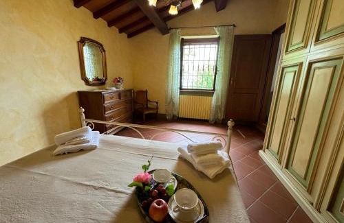 Capannori Casa | Pinocchio