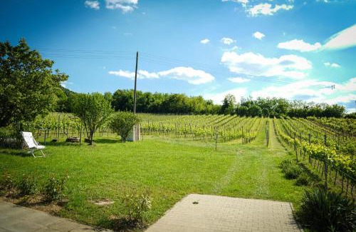 Kaptalantoti Casa | Pinot Gris House
