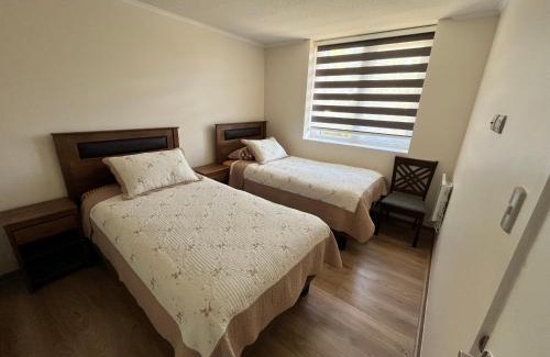Valdivia Apartamento | Pinto la torre