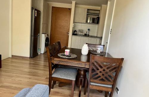 Valdivia Apartamento | Pinto la torre