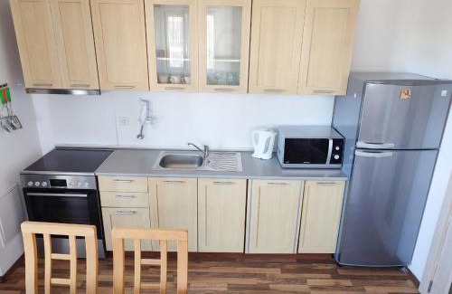 Shiligarnika Apartamento | Pirin Heights Apartment 200m from SKI ROAD