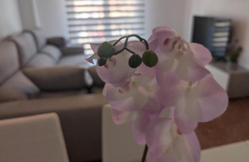 Armilla Apartamento | Piso Céntrico Armilla