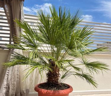 Alcanar Apartamento | Piso con terraza a 5 min del mar