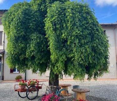 Torrile Casa | Pitaciò Affittacamere