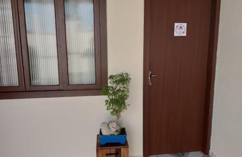 Rio Branco Casa | Pitaya Haus Lofts