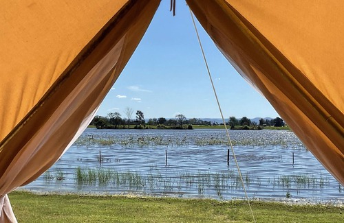 Pitt Town Alquiler De RV | Pitt Town Lagoon Glamping
