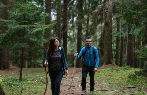 Bossico Otro | Placàt Eco Camping nel bosco