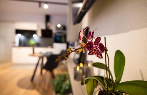 Faistenau Apartamento | place2be - with infinity pool