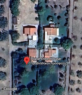 Dhikella Apartamento | Plane Tree House