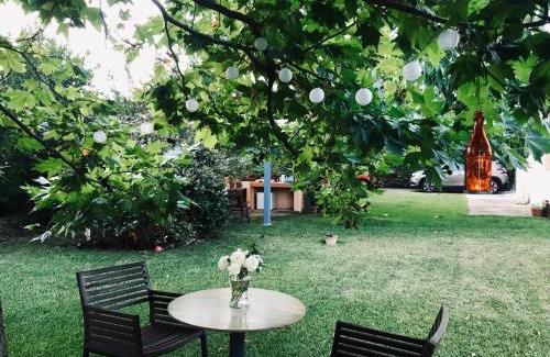 Dhikella Apartamento | Plane Tree House