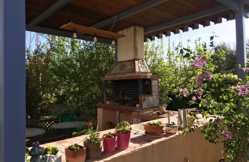 Dhikella Apartamento | Plane Tree House