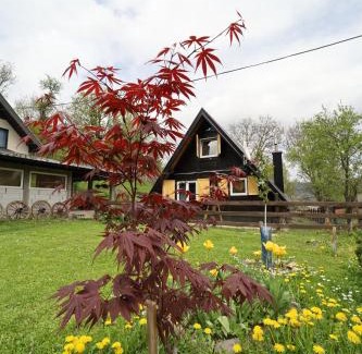 Bajina Basta Casa | Planinska kuća Bubi - Tara, Zaovine.