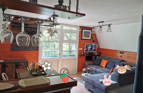 Zlobin Chalet De Esquí | Planinska vikendica LUCIJA