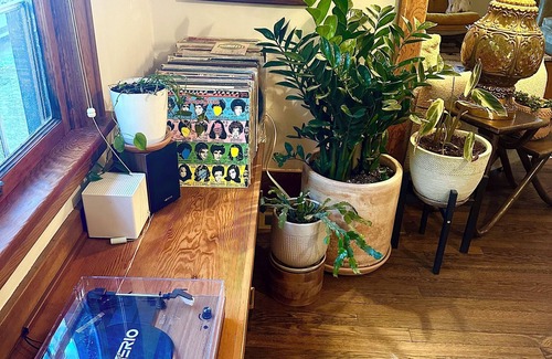 Mississippi District Casa | Plant-Filled Boho Retreat, Walk to Coffee & Eats