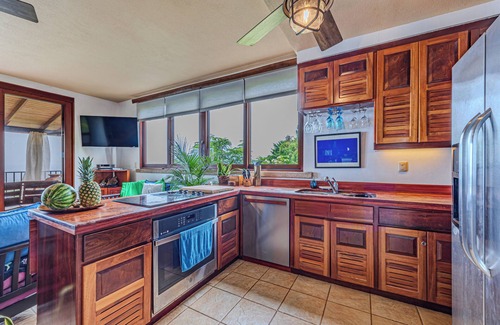 Dominical Casa | Playa Guapil near Dominical 25 Acre Estate - Amazing Ocean Views & Wildlife!!