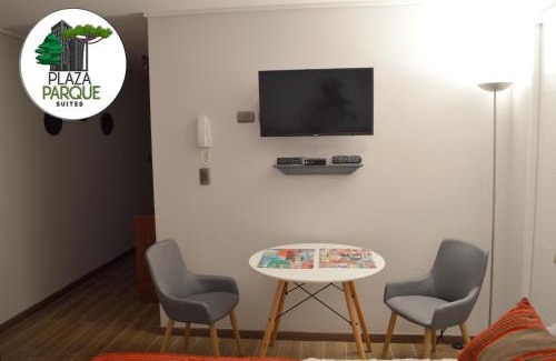 Concepcion Apartamento | Plaza Parque Suites 1009