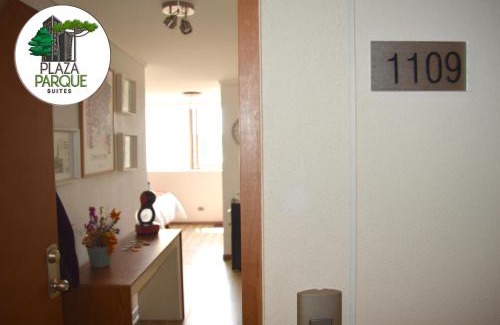 Concepcion Apartamento | Plaza Parque Suites 1109