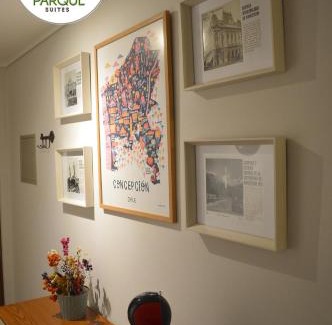 Concepcion Apartamento | Plaza Parque Suites 1109