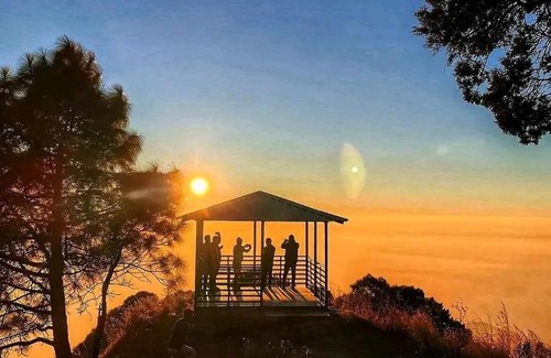 Kumarhatti Cama Y Desayuno | PLEASING pine's # KASAULI VALLY#