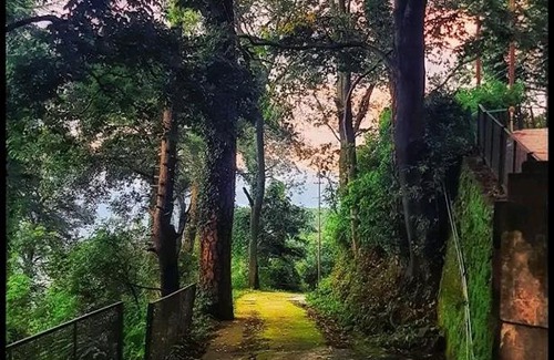 Kumarhatti Cama Y Desayuno | PLEASING pine's # KASAULI VALLY#